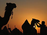 Скандал в Саудовской Аравии: торговец продавал напитки из своей мочи вместо верблюжьей
