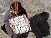 "Калькалист": в яйцах, импортированных из Украины, обнаружены бактерии сальмонеллы  