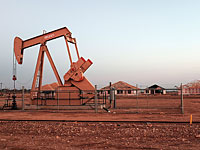 Цены на нефть составили 29 долларов за баррель
