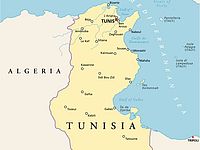 В Тунисе арестованы более 120 участников массовых беспорядков