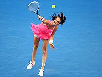 Новак Джокович и Агнешка Радванська вышли в четвертьфинал Открытого чемпионата Австралии