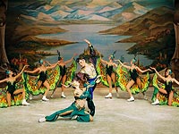 Магия балета, отточенная техника фигурного катания, завораживающая музыка, классическая постановка и костюмы &#8211; вот что ожидает израильского зрителя в июле 2016 года