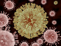 ВОЗ: вирус Зика может распространиться почти по всей территории Северной и Южной Америки