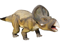 Британские ученые раскрыли тайну "рогатых динозавров": рога отрастают для любви
