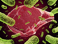 Минздрав: бактерии сальмонеллы обнаружен в продукции компании "Мама Мэри"  