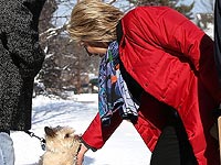 Хиллари Клинтон предложила обучить собак выявлять ложь республиканцев 