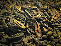 Мемориал Освенцим-Биркенау