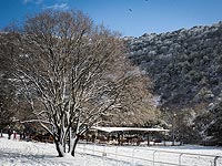 Снегопад на Хермоне, горный курорт временно закрыт  