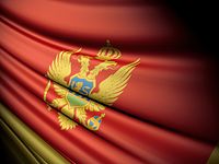 В Черногории были задержаны 55 граждан России