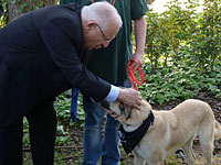 В резиденции президента прошел "День собаки, нуждающейся в хозяине"  