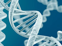   Шведские ученые выявили "ген инсульта"