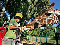 Из-за наплыва посетителей закрылся зоопарк в Рамат-Гане