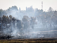 Жара и низкая влажность воздуха стали причиной пожаров в различных районах Израиля
