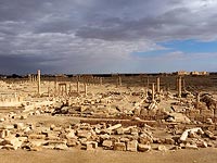 Россия строит военную базу на территории археологического парка Пальмиры