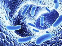 Ученые: к 2050 году супербактерии будут убивать кого-то каждые три секунды