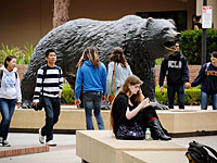 Кампус Университета Калифорнии в Лос-Анджелесе
