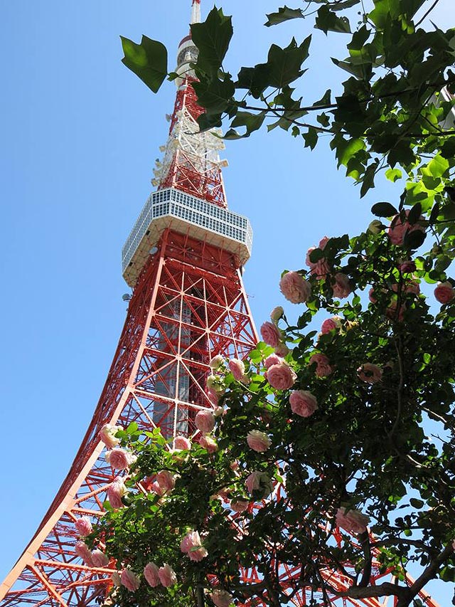 Телевизионная башня в Токио