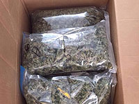 В Ришон ле-Ционе изъяты 70 кг марихуаны  