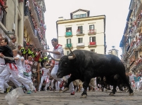 В результате забега с быками в Испании погиб один человек