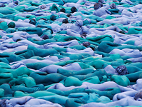 Морская волна Туника: массовая голая фотосессия в Англии. ФОТО