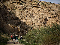 Добровольцы "Мегилот" эвакуировали из Вади Кельт туристов, у которых закончилась вода