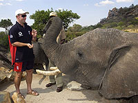 В зоопарке Рабата слон убил девочку камнем