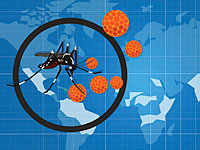 В США отмечены первые случаи заболевания вирусом Зика от комариных укусов