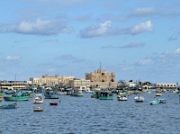 Александрия (иллюстрация)