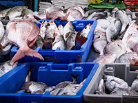 Минздрав начал расследование против импортера рыбы "Дагей Мехадрин"
