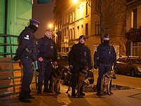 Бельгийские полицейские (архивное фото)