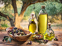 Археологи обнаружили на севере Израиля древнейшую оливковую плантацию    