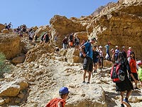 В районе Мертвого моря обрушилась пещера