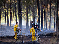 Недалеко от Хадеры горит лес: возможно, пожар стал результатом поджога