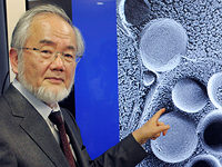 Лауреатом Нобелевской премии по медицине стал японский ученый Ёсинори Осуми