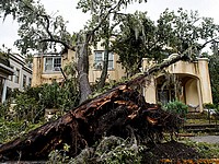 Последствия урагана "Мэтью" в городе Саванна, штат Джорджия. 8 октября 2016 г.