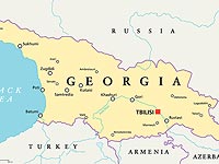 МИД: израильтяне, находящиеся в Грузии, замешаны в ДТП