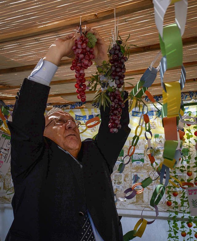 Президент Израиля Реувен Ривлин украшает сукку