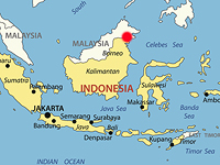 Обрушение моста в Индонезии: девять человек погибли