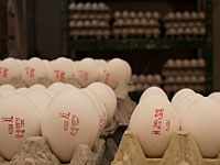 На рынке Махане Йегуда конфискованы 5.000 яиц с поддельными печатями ветконтроляНа рынке Махане Йегуда конфискованы 5.000 яиц с поддельными печатями ветконтроля