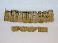 Ученые представили папирус периода Первого храма, найденный в Иудее