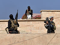 Иракские военносулжащие вблизи Мосула. Октябрь 2016 года