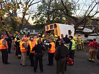 В Теннесси разбился школьный автобус, погибли шесть детей