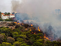 Пожар в Зихрон-Яакове. 22 ноября 2016 года