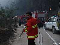 Лесные пожары на фоне осенней засухи в Израиле. Фоторепортаж