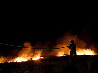 Лесные пожары вызвали эвакуацию в сирийской провинции Латакия