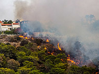 Первичная оценка ущерба от пожара в Зихрон-Яакове &#8211; 50 миллионов шекелей