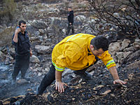 В ортодоксальном районе Бейт-Шемеша пожарные подверглись "каменной атаке"