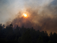 Возник лесной пожар в районе горы Тавор