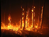 Пожар возле Нацрат-Илита, огонь распространяется в направлении жилых зданий