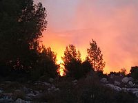 Пожар в Иерусалимских горах. 25.11.2016